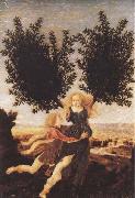 Antonio del Pollaiuolo Apollo and Daphne (mk45) oil painting artist